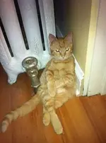 Relaxing #8.webp