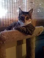Relaxing #9.webp
