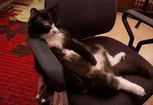 Relaxing #11.webp