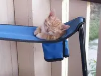 Relaxing #12.webp