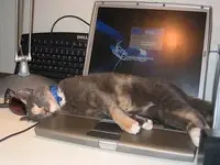 Relaxing #14.webp