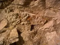 IMG02086-20110730-1508_small_small.webp