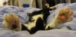 Relaxing #18.webp