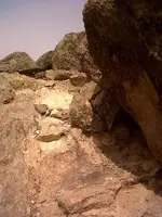 IMG02094-20110730-1513_small_small.webp