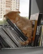Relaxing #19.webp