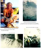 BILL MOORE AMAZING ATOCHA  GOLD.webp