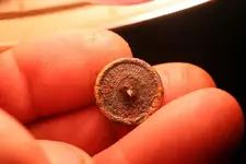 NH FINDS 06-18 013.webp