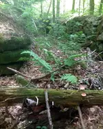 NH FINDS 08-05 038.webp