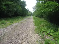 6-18-11 Finds 002.webp