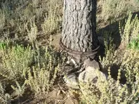 CC and mining pic 032.webp