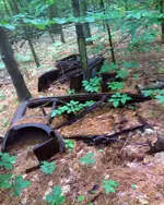 NH FINDS 08-05 033.webp