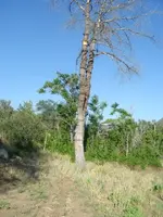 CC and mining pic 033.webp
