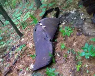 NH FINDS 08-05 032.webp