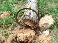 CC and mining pic 047.webp