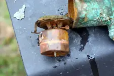 NH FINDS 08-05 006.webp