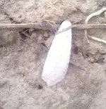 Photo06151854.webp