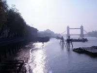 P4200751.webp