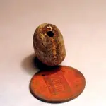 NH FINDS 07-08 029.webp