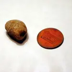 NH FINDS 07-08 025.webp