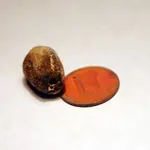 NH FINDS 07-08 027.webp