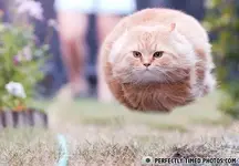 Perfectly Timed #2.webp