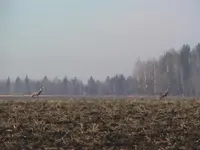 969d938ab9f8.webp