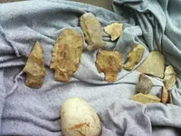imagejpeg952_2.webp imagejpeg952_2.webp