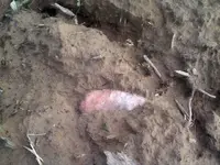 knife-insitu.webp