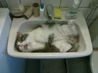 Relaxing__17.webp