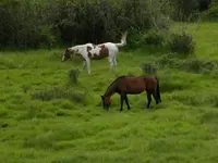 DSCN1316.webp