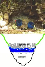 Untitled.webp
