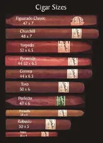 Cigar Sizes in centimeters (503x700).webp