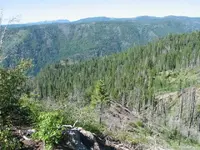 187_8751.webp