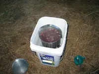 187_8768.webp