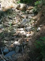 187_8772_r1.webp