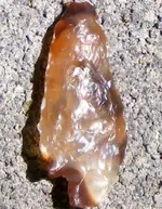 DSCF0009.webp