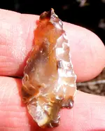 DSCF0011.webp