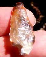 DSCF0010.webp