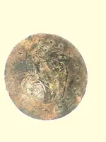 GEDC1571.webp
