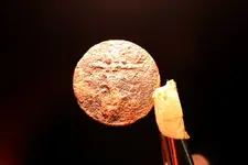 NH FINDS 06-18 022.webp