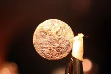 NH FINDS 06-18 023.webp