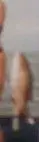 000_1395.002.webp