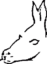 illusion_46.gif illusion_46.gif