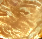 DSCF0014.webp