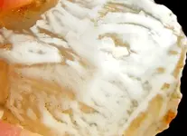 DSCF0012.webp