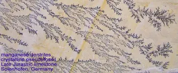 pseudofossil_dendrites.webp