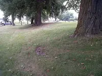 1880 School Park01.webp