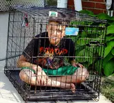 easy babysitter.webp