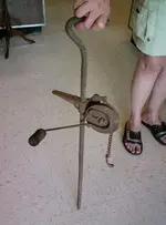 jack with chain.webp