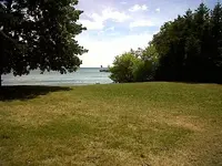 July 29 003.webp